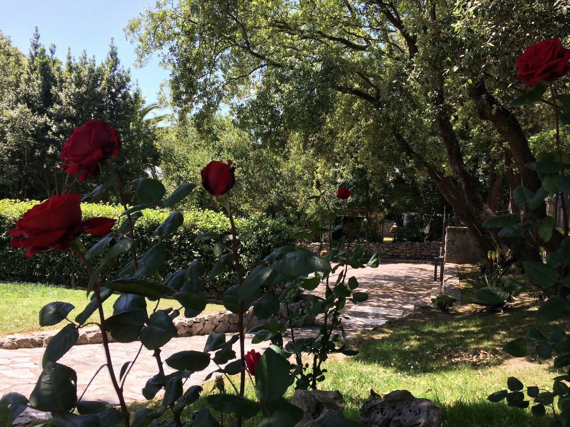 Hotel Posada La Robleda (Adults Only) 아르누에로 외부 사진